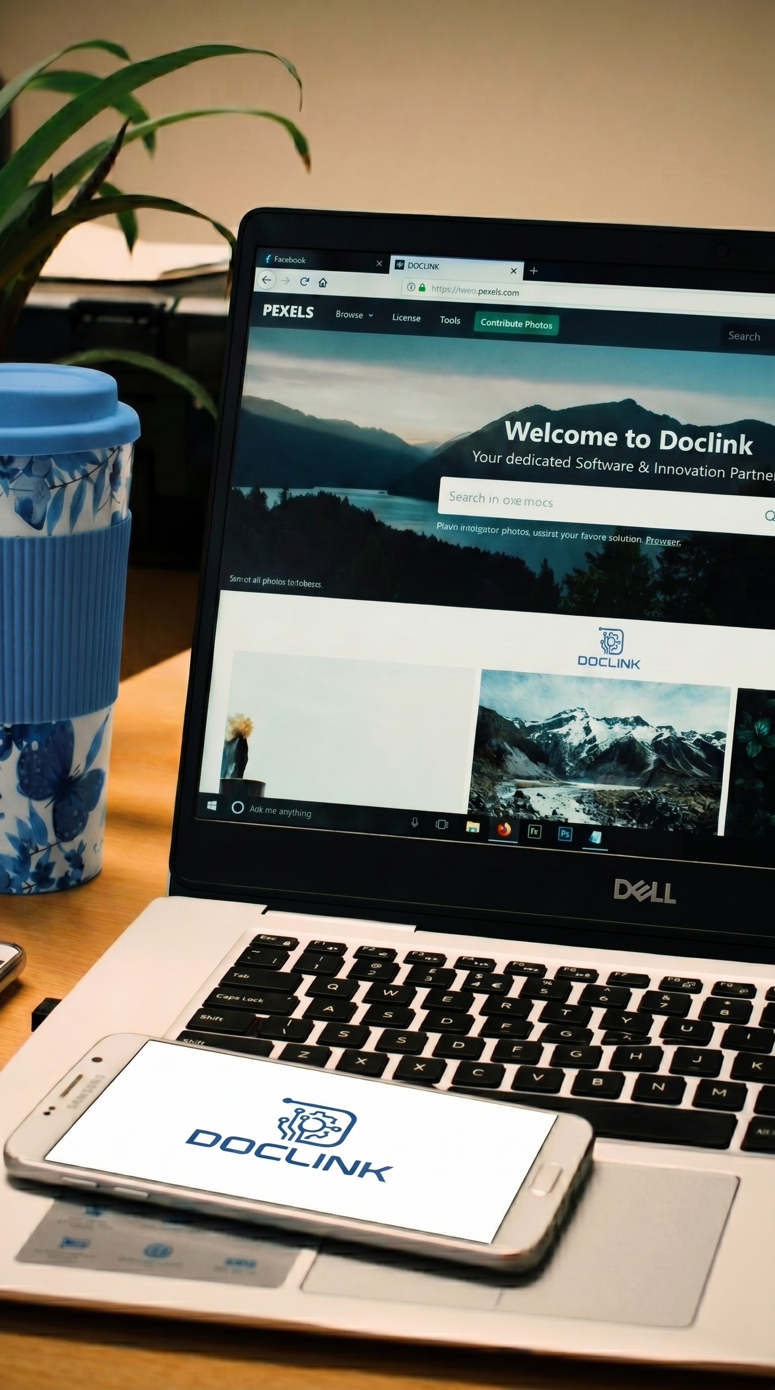 Web Development preview